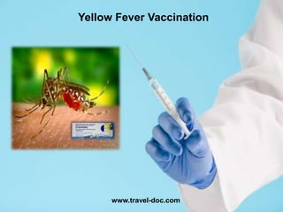 Yellow Fever Vaccination
www.travel-doc.com
 