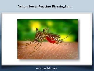 Yellow Fever Vaccine Birmingham
www.travel-doc.com
 
