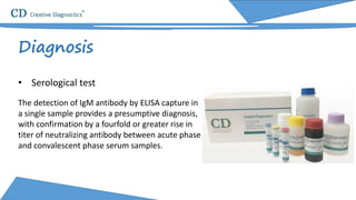 Diagnosis
• Serological test
The detection of IgM antibody by ELISA capture in
a single sample provides a presumptive diagnosis,
with confirmation by a fourfold or greater rise in
titer of neutralizing antibody between acute phase
and convalescent phase serum samples.
 