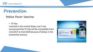 Prevention
Yellow Fever Vaccine
• YF-Vax
Licensed in the United States, but it has
announced that YF-Vax will be unavailable from
mid-2017 to mid-2018 because of delays in the
production process.
 