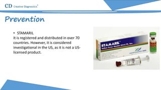 Prevention
• STAMARIL
It is registered and distributed in over 70
countries. However, it is considered
investigational in the US, as it is not a US-
licensed product.
 