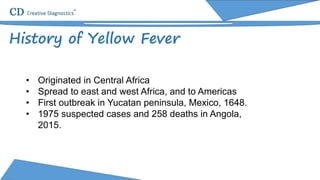 History of Yellow Fever
• Originated in Central Africa
• Spread to east and west Africa, and to Americas
• First outbreak in Yucatan peninsula, Mexico, 1648.
• 1975 suspected cases and 258 deaths in Angola,
2015.
 