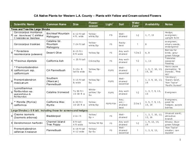 SCIENTIFIC NAMES OF FLOWERS PDF DOWNLOAD SCIENTIFIC NAMES OF FLOWERS PDF DOWNLOAD