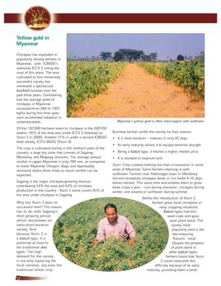 Yellow gold in myanmar