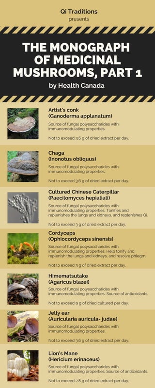 Qi Traditions
presents
THE MONOGRAPH
OF MEDICINAL
MUSHROOMS, PART 1
by Health Canada
Source of fungal polysaccharides with
immunomodulating properties.
Not to exceed 3.6 g of dried extract per day.
Artist's conk
(Ganoderma applanatum)
Source of fungal polysaccharides with
immunomodulating properties.
Not to exceed 3.6 g of dried extract per day.
Chaga
(Inonotus obliquus)
Source of fungal polysaccharides with
immunomodulating properties. Tonifies and
replenishes the lungs and kidneys, and replenishes Qi.
Not to exceed 3 g of dried extract per day.
Cultured Chinese Caterpillar
(Paecilomyces hepialiali)
Source of fungal polysaccharides with
immunomodulating properties. Help tonify and
replenish the lungs and kidneys, and resolve phlegm.
Not to exceed 3 g of dried extract per day.
Cordyceps
(Ophiocordyceps sinensis)
Source of fungal polysaccharides with
immunomodulating properties, Source of antioxidants.
Not to exceed 9 g of dried cultured per day.
Himematsutake
(Agaricus blazei)
Source of fungal polysaccharides with
immunomodulating properties.
Not to exceed 3.6 g of dried extract per day.
Jelly ear
(Auricularia auricula- judae)
Source of fungal polysaccharides with
immunomodulating properties. Source of antioxidants.
Not to exceed 2.8 g of dried extract per day.
Lion's Mane
(Hericium erinaceus)
 