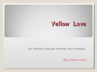 Yellow   Love Um cãozinho cego que enxerga com o coração... Blog Omnes Angeli 