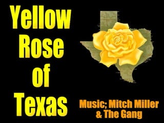 Yellow  Rose of  Texas Music; Mitch Miller & The Gang 