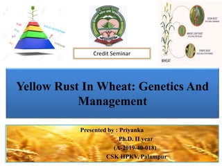 Yellow Rust In Wheat: Genetics And
Management
Presented by : Priyanka
Ph.D. II year
(A-2019-40-018)
CSK HPKV, Palampur
Credit Seminar
 