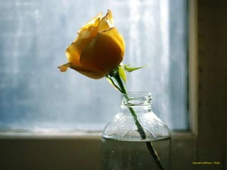 hannah huffman - Flickr