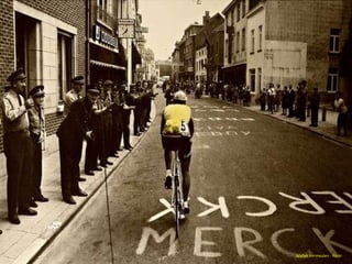 Walter Vermeulen - Flickr