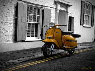 Chris Tribe - Flickr