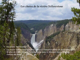 • La rivière Yellowstone
• La rivière Yellowstone prend sa source à l'intérieur même du parc. Longue
de plus de 1.000 kilomètres, elle se jette dans le Missouri dans l'État du
Dakota du Nord.
Les chutes de la rivière Yellowstone
 