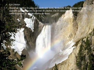 • Les chutes
• Avant de quitter le parc qui porte son nom, la rivière Yellowstone offre un
superbe spectacle sous la forme de chutes. On en dénombre 290 dont les
tailles varient de 4 à 94 mètres de haut.
 