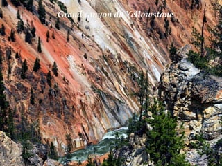 Grand canyon du Yellowstone
 