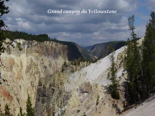 Grand canyon du Yellowstone
 
