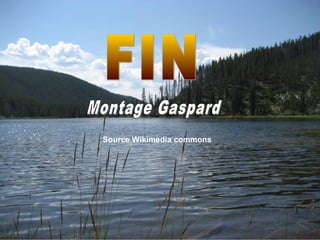 Source Wikimedia commons
 