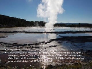 • Les geysers
• Les geysers font la renommée de l'Islande mais l'île nordique n'en a pas le
monopole, loin s'en faut. 62 % des geysers de la planète se trouvent ainsi
dans le parc de Yellowstone. Le plus connu est le « Old Faithfull » dont les
eaux jaillissent à près de 40 mètres de haut.
 