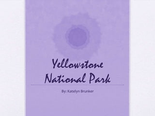 Yellowstone
National Park
By: Katelyn Brunker

 