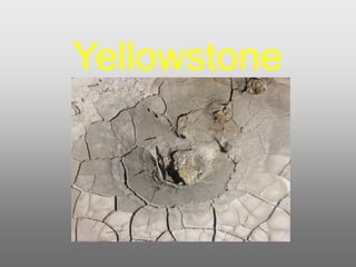 Yellowstone 
 