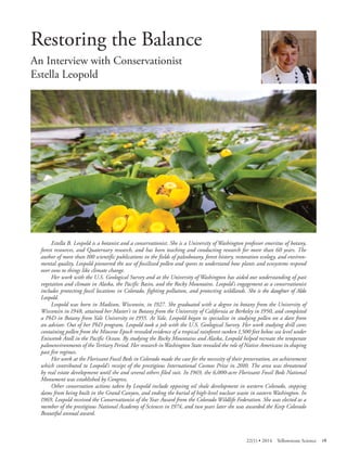 Restoring the Balance 
An Interview with Conservationist Estella Leopold 
Estella B. Leopold is a botanist and a conservationist. She is a University of Washington professor emeritus of botany, forest resources, and Quaternary research, and has been teaching and conducting research for more than 60 years. The author of more than 100 scientific publications in the fields of paleobotany, forest history, restoration ecolog y, and environmental quality, Leopold pioneered the use of fossilized pollen and spores to understand how plants and ecosystems respond over eons to things like climate change. 
Her work with the U.S. Geological Survey and at the University of Washington has aided our understanding of past vegetation and climate in Alaska, the Pacific Basin, and the Rocky Mountains. Leopold’s engagement as a conservationist includes protecting fossil locations in Colorado, fighting pollution, and protecting wildlands. She is the daughter of Aldo Leopold. 
Leopold was born in Madison, Wisconsin, in 1927. She graduated with a degree in botany from the University of Wisconsin in 1948, attained her Master’s in Botany from the University of California at Berkeley in 1950, and completed a PhD in Botany from Yale University in 1955. At Yale, Leopold began to specialize in studying pollen on a dare from an advisor. Out of her PhD program, Leopold took a job with the U.S. Geological Survey. Her work studying drill cores containing pollen from the Miocene Epoch revealed evidence of a tropical rainforest sunken 1,500 feet below sea level under Eniwetok Atoll in the Pacific Ocean. By studying the Rocky Mountains and Alaska, Leopold helped recreate the temperate paleoenvironments of the Tertiary Period. Her research in Washington State revealed the role of Native Americans in shaping past fire regimes. 
Her work at the Florissant Fossil Beds in Colorado made the case for the necessity of their preservation, an achievement which contributed to Leopold’s receipt of the prestigious International Cosmos Prize in 2010. The area was threatened by real estate development until she and several others filed suit. In 1969, the 6,000-acre Florissant Fossil Beds National Monument was established by Congress. 
Other conservation actions taken by Leopold include opposing oil shale development in western Colorado, stopping dams from being built in the Grand Canyon, and ending the burial of high-level nuclear waste in eastern Washington. In 1969, Leopold received the Conservationist of the Year Award from the Colorado Wildlife Federation. She was elected as a member of the prestigious National Academy of Sciences in 1974, and two years later she was awarded the Keep Colorado Beautiful annual award. 
22(1) • 2014 Yellowstone Science 19 
 