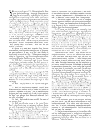 Yellowstone Science (YS): I know quite a bit about your family just because I have read things that your father has written, and I’ve worked for the Park Service my whole life, so of course, your brother Starker is well known to me. But I was very interested in your career, and in particular I read in several places that even though conservation seemed to be sort of a predestination for a lot of people in your family, you stumbled into paleoecology, and I wondered how that happened, how it was that that became your primary focus. 
Estella Leopold (EL): It was kind of a stumbling-in story. I was a new applicant at Yale University Graduate School, and my major professor was the great Paul Sears, and he was, of course, a palynologist. I told him I wanted to work in physiological ecology, with plants, and he said, “Fine, but why not palynology?” and I said, “Well, I don’t think you could answer a lot of ecological problems with fossil pollen.” He said, “You mean it can’t be done?” I said, “Well, it would take a lot of work.” Sears said: “Are you afraid of a challenge?” 
So I began to try some work on pollen from the river terraces where Luna Leopold was working out of Wyoming, and got started there. It was a lot of fun. And I fi nally realized, this is great stuff, so I did a PhD thesis on postglacial pollen in Connecticut. And I was recording some of the early forests following glacial retreat and climate change. 
YS: Well, that’s a pretty timely topic for now. So your primary interest was in plant ecology. But also it seems to reveal a little bit about your character that you couldn’t resist a dare. So your PhD was at Yale, and then when you fi nished your graduate work at Yale, did you immediately go into teaching? 
EL: Well, it turned out there was an opening in the U.S. Geological Survey in Denver. They were opening an interdisciplinary paleo lab with people working with diff erent kinds of algae and snails, and they wanted a pollen analyst. And I was one of two candidates–I managed to get it. I was very happy. 
YS: Well, I bet paly–how do you say that word again, paly...? 
EL: Well, Paul Sears invented this word. He said, “How do we express in a word the study of pollen and looking to reconstruct vegetation of the past?” And he reached into the dictionary and came up with paly, P-A-L-Y, which is Greek for “flour.” And pollen is about flour-sized, so he said, “Let’s just call it palynology.” 
YS: Yeah, I don’t think there are probably that many of you now, are there? 
EL: Well, it’s still going strong in the United States. There’s a lot of work right now going on in climate change and with the postglacial/interglacials. So the work in the deeper time–there are fewer of us. It’s still pretty exciting. 
YS: Has your field of study been a rewarding area of research in light of your conservation interests? 
EL: That is an interesting question. One of the things that my Dad and Starker Leopold had in common was that they could integrate their work in wildlife research with their interest in conservation. And in pollen work, it was harder for me to find a way to use palynology as a tool in conservation. But now it appears that it’s a good tool because we can talk a lot about our current concern about climate change. 
YS: Your research paints a broad picture of changing climates, mountain-building, and species evolution and extinction. What are your thoughts about the dominant drivers in shaping the Rocky Mountain ecosystem when you’re thinking about the distant geologic past? 
EL: Of course, one of the drivers was topography. And in the ancient past, Rocky Mountain history goes back to the Eocene, a time when tropical forests still existed in Colorado and Wyoming, 40 million years ago. That’s the early part of the post-dinosaur interval. At this time the region was low lying, before serious Rocky Mountain uplift. We know that because some California-based conifers, like Sequoia and Monterey fir that depend on a moist coastal climate proliferated in Colorado and throughout the West. We know it too from most recent creative geological mapping. Back then, there were no Sierras or Rocky Mountains to block the westerlies –the flow of moist Pacific air into Colorado. 
After the end of the Eocene, a huge volcanic fi eld developed in southern Colorado and northern New Mexico. I mean, these were some of the largest super volcanoes and craters in world history, called the La Garita Volcanic Field. This went on for several million years—and tons of volcanic dust cooled the region. But cooling was also brought on by sea currents around Antarctica. In Colorado we found pollen assemblages showing that a great cooling had occurred. And some of the air-borne pollen was actually charred, toasted by the heat of the volcanic ash. It was at that time that the regional climate changed from summer wet, lots of deciduous trees like walnut, hickory, elm, to summer-dry, lots of sagebrush and pine forest. This was actually the start of the modern Rocky Mountain climate and ecosystem. 
Talk about mountains? Well then in the latest Miocene, about 10 million years ago, the Colorado Plateau began to rise—a time when the main Grand Canyon was carved. Much of the midcontinent area from New Mexico to Montana rose about 4,000 to 5,000 or more feet. Ta dah! We had Rocky Mountains! Well, it took a few million years. I might add that a famous Yellowstone geologist, J. David Love and I showed that the high Tetons next to Yellowstone are very young; they date back only 2 million years, at the beginning of the Ice Age. 
YS: I’ve interviewed quite a few geologists, and they talk about time in a way that, for the normal person, is really hard to understand. We’re talking such huge amounts of time. But a lot of your conservation work seems to be applying things to a much shorter timeline. And I’m wondering how you make that transition? 
EL: Maybe through an awareness of what we have today and how it’s being decimated by lumbering or mining processes, is pretty frightening. And it’s, if I must say, kind of a separate topic, isn’t it, from talking about how things were in Yellowstone Park in the Eocene. 
20 Yellowstone Science 22(1) • 2014 
 