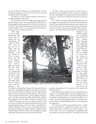 to burn for 50 years? Which are very inflammable. So that’s the big management issue now for the Forest Service and perhaps for some of the parks. 
YS: Did you in your work find evidence of these fi res in the paleoecology record as well? 
EL: Yes we have, but it isn’t really that long ago that the Sequoia/Kings Canyon area was described by John Muir as having regular summer ground fires. He used to be able to sit by the fire while it burned along under these huge Sequoias, and he thought that fire was a natural element in that country, because of its summer-dry climate. 
Th en Starker got involved. 
YS: Many of the questions that I was given have to do with the Leopold Report, which of course is something that has really shaped the management of national parks for many years. Why do you think that’s had such an enormous impact? 
EL: I think that Starker’s talks and publications were the fi rst trigger that captured a lot of interest. You should know that there was a period when Starker gave early reports to the Sierra Club so that he could get their interest and support in these new ideas about the natural role of fire and management. The board of the Sierra Club was absolutely horrified that “a son of Aldo Leopold” 
Park rangers told 
Starker that Sequoias 
were not 
reproducing. He 
needed to know 
why. Once he 
got the ear of 
Udall, and the 
opportunity, he 
arranged with 
the scientists at 
Chico to experiment 
with fi re 
in the Sequoia/ 
Kings Canyon 
area. 
And by 
golly, they found 
that the reason 
Sequoias 
were 
not reproducing 
was the thick soil 
Estella Leopold enjoying a quiet moment with her father, 1943. 
was promoting 
Courtesy of the Aldo Leopold Foundation, www.aldoleopold.org 
the use of fi re in 
park management! 
Th ey gave 
him a really hard 
time. It defi nitely 
took a while! Th e 
Sierra Club eventually 
allowed 
him to publish 
an article about 
fire ecology in 
the Sierra Club 
magazine in 
1957 or so. Yes, 
that took a while. 
After his experiences 
in Mexico, 
the Sierra 
Madre, he began 
to write things 
A-horizon, with all the needles and branches and stuff , where the tiny Sequoia seeds could not penetrate. But the white fir was doing fine, because it has big seeds that can grow down through all that duff into the mineral soil; therefore, fir was becoming an understory and was replacing baby Sequoias, there just weren’t any baby Sequoias. But once the Chico scientists started to burn, up came millions of baby sequoias. So this was a great, great feat, which Starker and then Bruce Kilgore wrote a lot about. The goal, as Starker said, is to follow what you construe to be a natural ecosystem. And you want to maintain the natural contributions of, say, fi re to maintaining that system. That was a major accomplishment. Starker arranged for NPS to carry out thinning operations and then ran experimental burns upslope in Kings Canyon National Park. Very brave. These were remarkably successful. Apparently Sequoia stands need periodic ground fi re. 
like “Wilderness and Culture.” He laid it all out in terms of wilderness and parks. Because of 50 years of fi re suppression, 
management of the ecosystem now requires new kinds of actions. 
Well, then when he had the chance to talk about [these things] in the Leopold Report, he said something like, “I could say anything I wanted,” and he did, talking with his committee, and developing the various ideas which are so critical. But he laid the groundwork first, and I think then his committee and then Udall himself were very happy with his suggestions. 
He certainly moved forward with that report. I think he was saying that he accepted the premises of that fi rst World Conservation conference on national parks—it was in the 1960s—that active manipulation was probably needed to preserve ecosystems and parks. The parks had to be big 
22 Yellowstone Science 22(1) • 2014 
 