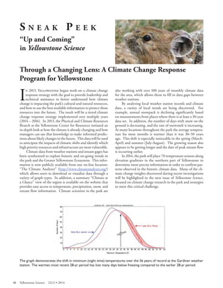 SNEAK PEEK “Up and Coming” in Yellowstone Science 
Through a Changing Lens: A Climate Change Response Program for Yellowstone 
In 2013, Yellowstone began work on a climate change response strategy with the goal to provide leadership and technical assistance to better understand how climate change is impacting the park’s cultural and natural resources, and how to use the best available information to protect those resources into the future. The result will be a tiered climate change response strategy implemented over multiple years (2014 – 2016). In 2013, the Physical and Climate Resources Branch at the Yellowstone Center for Resources initiated an in-depth look at how the climate is already changing and how managers can use that knowledge to make informed predictions about likely changes in the future. This data will be used to anticipate the impacts of climatic shifts and identify which high priority resources and infrastructure are most vulnerable. Climate data from weather stations and stream gages has been synthesized to explore historic and on-going trends in the park and the Greater Yellowstone Ecosystem. This information is now publicly available from one on-line location: “The Climate Analyzer” (http://www.climateanalyzer.org/) which allows users to download or visualize data through a variety of graph types. In addition, a summary “Climate at a Glance” view of the region is available on the website that provides easy access to temperature, precipitation, snow, and stream flow information. Climate scientists in the park are 
also working with over 100 years of monthly climate data for the area, which allows them to fill in data gaps between weather stations. 
By analyzing local weather station records and climate data, a variety of local trends are being discovered. For example, annual snowpack is declining significantly based on measurements from places where there is at least a 30-year data set. In addition, the number of days with snow on the ground is decreasing, and the rate of snowmelt is increasing. At many locations throughout the park the average temperature for most months is warmer than it was 30–50 years ago. This shift is especially noticeable in the spring (March- April) and summer (July-August). The growing season also appears to be getting longer and the date of peak stream flow is occurring earlier. 
In 2014, the park will place 70 temperature sensors along elevation gradients in the northern part of Yellowstone to determine more precise information in order to confirm patterns observed in the historic climate data. Many of the climate change insights discovered during recent investigations will be highlighted in the next issue of Yellowstone Science, focused on climate change research in the park and strategies to meet this critical challenge. 
The graph demonstrates the shift in minimum (night time) temperatures over the 56 years of record at the Gardiner weather station. The warmer, most recent 28-yr period has lost many days below freezing compared to the earlier 28-yr period. 
42 Yellowstone Science 22(1) • 2014 
 