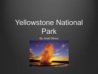 Yellowstone National
Park
By: Aratt Olmos
 