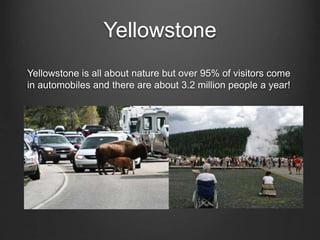 Yellowstone
Yellowstone is all about nature but over 95% of visitors come
in automobiles and there are about 3.2 million people a year!
 