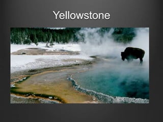 Yellowstone
 