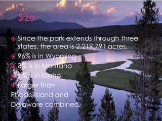 SizeSince the park extends through three states, the area is 2,219,791 acres.96% is in Wyoming3% is in Montana1% is in IdahoLarger thanRhode Island andDelaware combined.                                                         