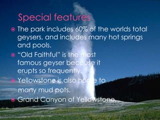 Special featuresThe park includes 60% of the worlds total geysers, and includes many hot springs and pools.“Old Faithful” is the most                     famous geyser because it                 erupts so frequently. Yellowstone is also home to    many mud pots.Grand Canyon of Yellowstone.