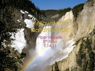 Yellowstone National Park Piper Hopple 5th hour 1.14.11 