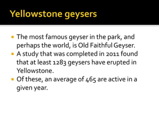  The most famous geyser in the park, and 
perhaps the world, is Old Faithful Geyser. 
 A study that was completed in 2011 found 
that at least 1283 geysers have erupted in 
Yellowstone. 
 Of these, an average of 465 are active in a 
given year. 
 