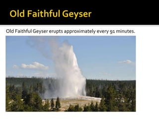 Old Faithful Geyser erupts approximately every 91 minutes. 
 