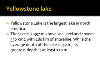  Yellowstone Lake is the largest lake in north 
america. 
 The lake is 2,357 m above sea level and covers 
350 km2 with 180 km of shoreline. While the 
average depth of the lake is 42 m, its 
greatest depth is at least 120 m. 
 