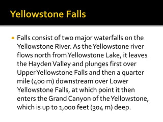  Falls consist of two major waterfalls on the 
Yellowstone River. As the Yellowstone river 
flows north from Yellowstone Lake, it leaves 
the Hayden Valley and plunges first over 
Upper Yellowstone Falls and then a quarter 
mile (400 m) downstream over Lower 
Yellowstone Falls, at which point it then 
enters the Grand Canyon of the Yellowstone, 
which is up to 1,000 feet (304 m) deep. 
 