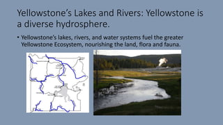 Yellowstone’s Lakes and Rivers: Yellowstone is
a diverse hydrosphere.
• Yellowstone’s lakes, rivers, and water systems fuel the greater
Yellowstone Ecosystem, nourishing the land, flora and fauna.
 