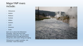 MajorYNP rivers
include:
- Yellowstone
- Gallatin
- Madison
- Firehole
- Gibbon
- Gardner
- Lewis
- Shoshone
- Snake
Each river is vital to the Yellowstone
Ecosystem. Each river has its own
personality and beauty. You can explore
Yellowstone Rivers through backcountry
hiking trails, white water rafting and angling
Yellowstone is a angler’s paradise. Just
remember: ‘Catch and release.’
 