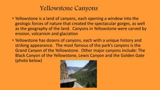 Yellowstone Canyons
• Yellowstone is a land of canyons, each opening a window into the
geologic forces of nature that created the spectacular gorges, as well
as the geography of the land. Canyons in Yellowstone were carved by
erosion, volcanism and glaciation
• Yellowstone has dozens of canyons, each with a unique history and
striking appearance. The most famous of the park’s canyons is the
Grand Canyon of the Yellowstone. Other major canyons include: The
Black Canyon of the Yellowstone, Lewis Canyon and the Golden Gate
(photo below)
 