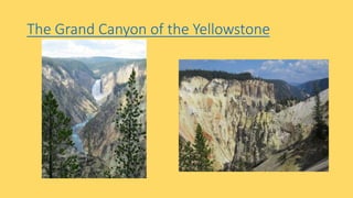 The Grand Canyon of the Yellowstone
 