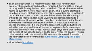 • Bison overpopulation is a major biological debate as ranchers fear
migratory bison will encroach on their rangeland, hurting cattle’s grazing
territory and infecting the herd with brucellosis. The NPS has resorted to
hazing to quell the natural migration of bison. This is culling practice is
based on unsound biological evidence. Bison do not transfer brucellosis to
cattle. Elk are known to infect cattle with brucellosis, but elk hunting is
critical to the Montana, Idaho and Wyoming economies, leading to a
stigma on bison. Bison and Wolves have been social issues in the Greater
Yellowstone area based on historical and social prejudices as well as
science and research. It is important to research through deductive and
inductive reasoning and hear all sides of an argument before making a
judgment on Yellowstone issues. Politics often plays a role that contradicts
the mission of the park: to protect and to preserve for the people. This is a
civics issue for park patrons and public servants. For more information on
the Yellowstone Bison controversy: Buffalo Field Campaign ; NPS Bison
Management
• More info on brucellosis
 