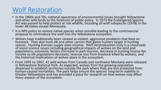Wolf Restoration
• In the 1960s and 70s, national awareness of environmental issues brought Yellowstone
and other wild lands to the forefront of public policy. In 1973 the Endangered Species
Act was passed to help protect at risk wildlife, including all wolf subspecies (1978) in the
lower 48 states except Minnesota.
• It is NPS policy to restore native species when possible leading to the controversial
proposal to reintroduce the wolf into the Yellowstone ecosystem.
• Wolves have traditionally been viewed as violent, aggressive predators that feed on
livestock. They also hunt elk and other carrion that game hunters target in hunting
season. Hunting licenses supply state income. Wolf reintroduction truly is a crossroads
of social science issues including geographical impacts of wolves on the land and
populations, economic factors (increase in park tourism, decrease in hunting license fee
income as elk populations decrease; revenue loss from livestock killed by wolves), and
the historical implications of wolves place in the ecosystem.
• From 1995 to 1997, 41 wild wolves from Canada and northwest Montana were released
in Yellowstone National Park. As expected, wolves from the growing population
dispersed to establish territories outside the park where they are less protected from
human-caused mortalities. The park helps ensure the species' long-term viability in
Greater Yellowstone and has provided a place for research on how wolves may affect
many aspects of the ecosystem.
 