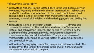 Yellowstone Geography
• Yellowstone National Park is located deep in the wild backcountry of
Montana, Wyoming and Idaho in the Northern Rockies. Yellowstone
land of fire and ice; a wonderland of chaos and conflict peace and
solitude. It is a land of extremes from frigid winters to sublime
summers, tranquil alpine lakes and thundering geysers and boiling hot
springs.
• Yellowstone is one of the earth’s most geographically diverse and
dynamic bionetworks. The park is located atop the Yellowstone
Plateau and Yellowstone Caldera. The park is crisscrossed by the
backbone of the Continental Divide. Yellowstone is home to
mountains, valleys and alpine habitats. The park has dozens of
microclimates depending on varying factors of volcanic, geographic
and geological forces.
• Yellowstone’s geography is complex, unique and interconnected. The
geography of this land of fire and ice is the crux of flora, fauna and
human interactions within the park.
 