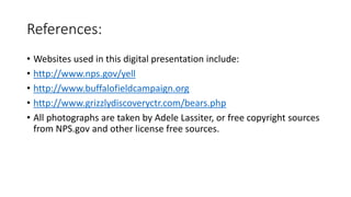 References:
• Websites used in this digital presentation include:
• http://www.nps.gov/yell
• http://www.buffalofieldcampaign.org
• http://www.grizzlydiscoveryctr.com/bears.php
• All photographs are taken by Adele Lassiter, or free copyright sources
from NPS.gov and other license free sources.
 