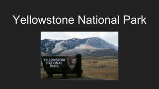 Yellowstone National Park
 