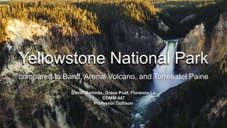 Yellowstone National Park
compared to Banff, Arenal Volcano, and Torres del Paine
David Martinez, Grace Poat, Florence Lo
COMM 447
Professor Collison
 