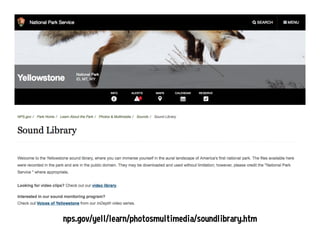 nps.gov/yell/learn/photosmultimedia/soundlibrary.htm
 