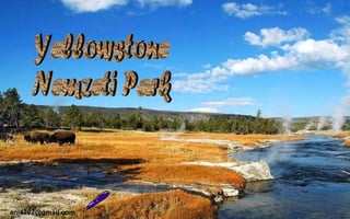 Yellowstone Nemzeti Park [email_address] 