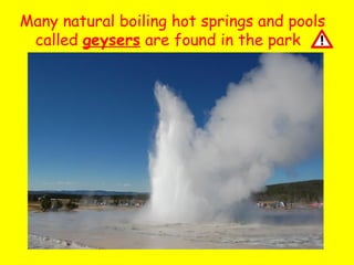 Many natural boiling hot springs and pools
called geysers are found in the park

 